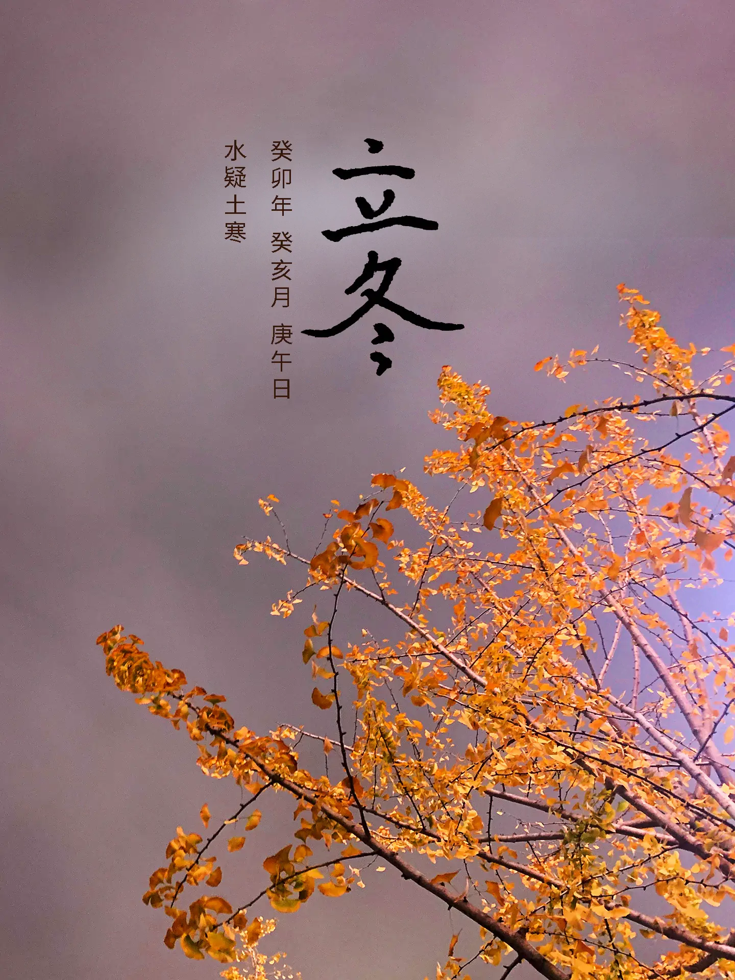 2023 立冬 - 水疑土寒 二十四节气